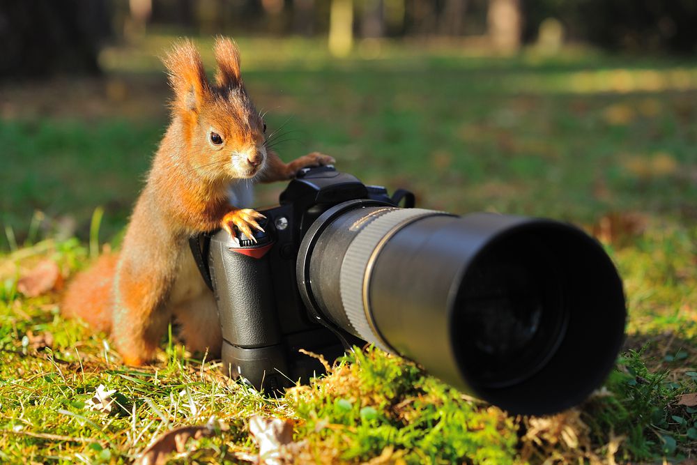 Photography Course in Malappuram