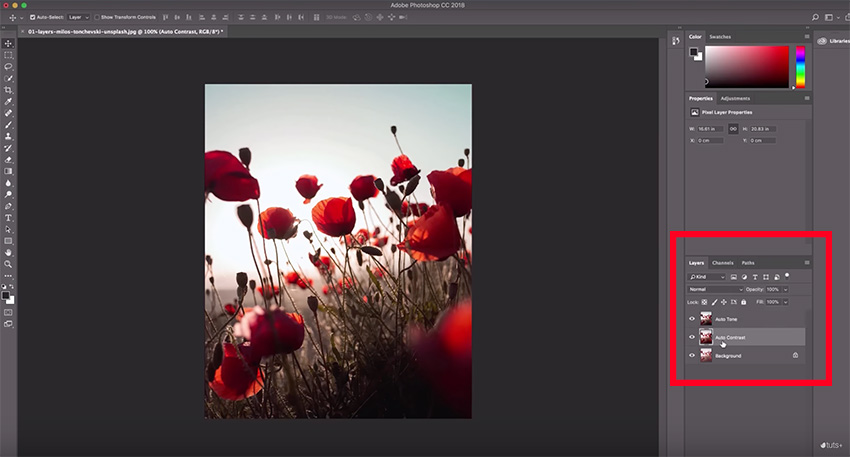 Photoshop Course in Malappuram