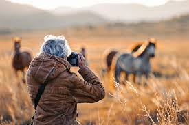 Photography Course in Perinthalmanna