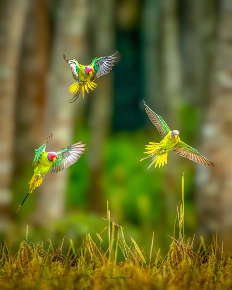 Photography Course in Malappuram